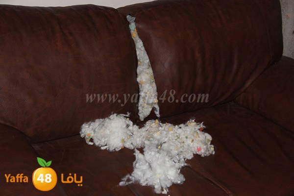 3abedlhadyi0122 (9).JPG